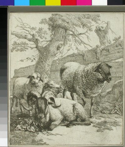 Ohne Titel od Johann Heinrich Roos