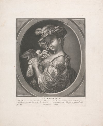 Holubice od Johann Jacobus Haid