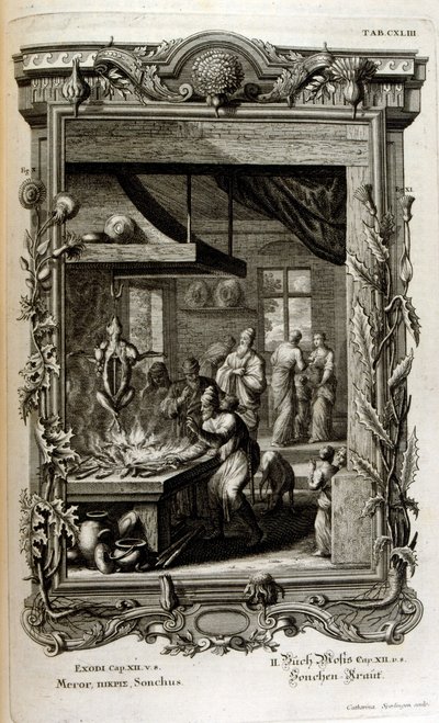 Ilustrace z posvátné fyziky nebo přírodní historie bible od Johann Jakob Scheuchzer
