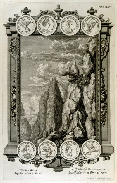 Zeus symbolizovaný jako orel od Johann Jakob Scheuchzer