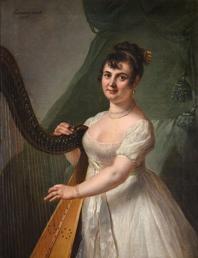 Portrét Anne Rose Debas, paní Delaroche, hrající na harfu od Johann Julius Heinsius