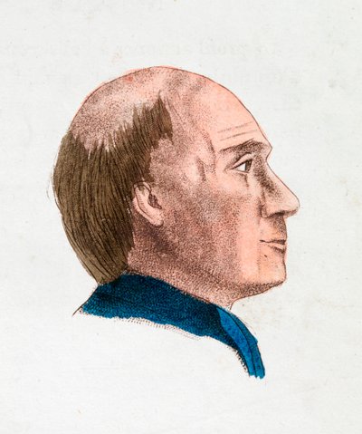 Charakteristika obličeje filozofické a hluboké osoby, 1808 od Johann Kaspar Lavater