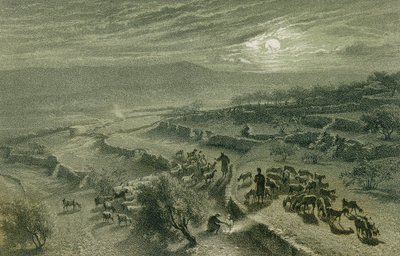 Údolí pastýřů v Betlémě. Lept od Bernatze et alii - Steinkopk J. F. Editore od Johann Martin Bernatz