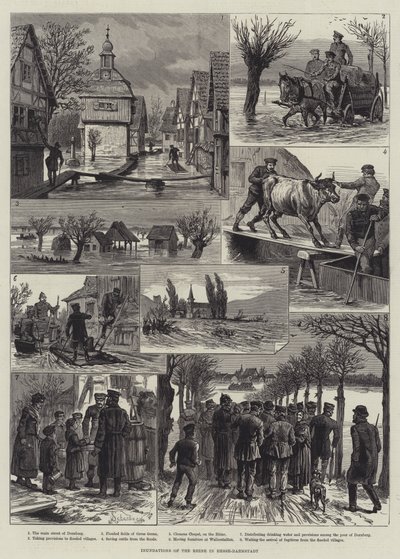 Záplavy Rýna v Hesensku-Darmstadtu od Johann Nepomuk Schonberg