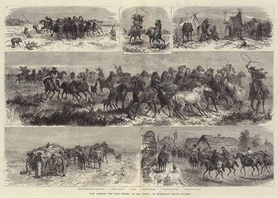 Život mezi divokými koňmi Puszty neboli maďarské vřesoviště od Johann Nepomuk Schonberg