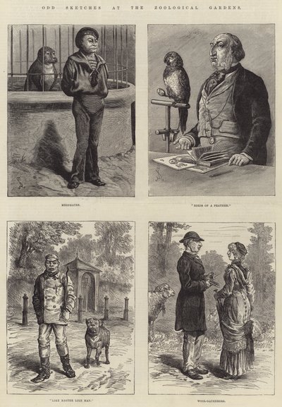 Podivné skici v zoologické zahradě od Johann Nepomuk Schonberg