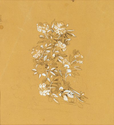 Blumenbouquet od Johann Peter Krafft