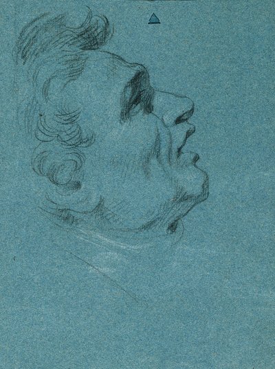 Vedoucí studie pro nástěnné malby v Hofburgu od Johann Peter Krafft
