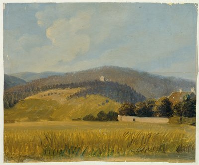 krajina poblíž Badenu od Johann Peter Krafft