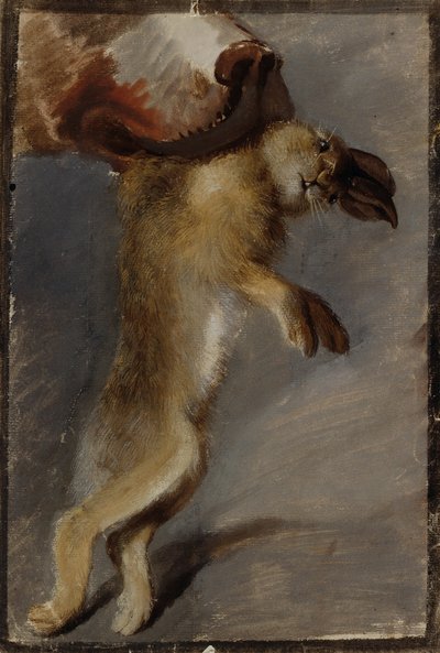 Studie zajíce od Johann Peter Krafft