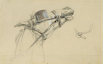 Studie koňské hlavy pro „Návrat císaře Františka z Pressburgu“ od Johann Peter Krafft