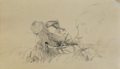 Kořenový systém, padlý strom od Johann Peter Krafft