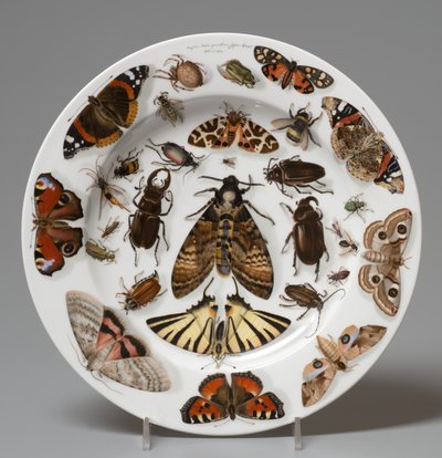 Plate, Lippert & Haas, Schlaggenwald od Johann Quast