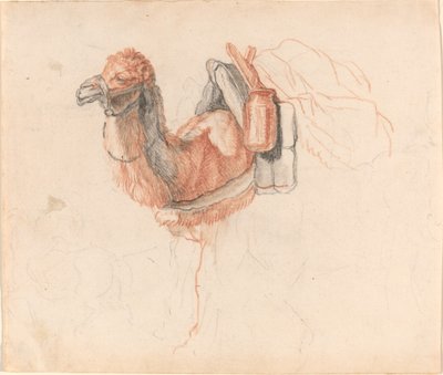 Velbloud od Johann Rudolph Schellenberg