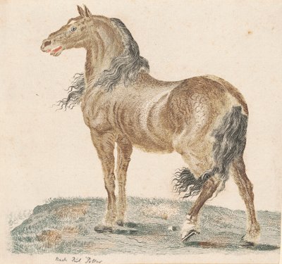 Neighing Horse, 1690s. od Johann Teyler