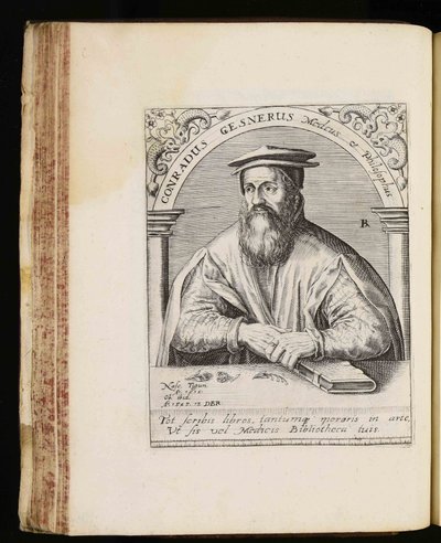 Conrad Gessner od Johann Theodor de Bry