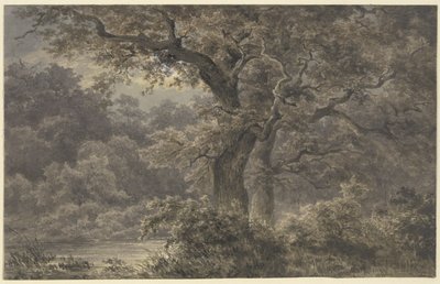 Duby v lese od Johann Wilhelm Schirmer