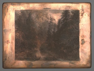 Horská řeka mezi stromy od Johannes Arnoldus Boland