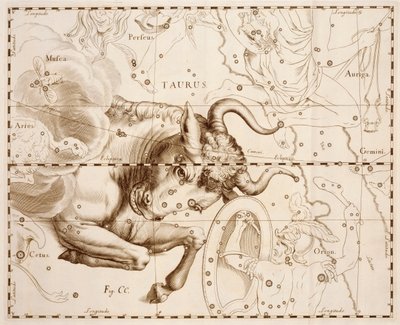 Býk (znamení zvěrokruhu), rytina z Firmamentum Sobiescianum sive Uranographia, Kompletní katalog hvězd, Johann Hevelius (1611-1687), vytištěno v Gdaňsku od Johannes Hevelius