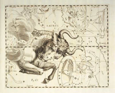 Býk, souhvězdí Býka, rytina z nebeského atlasu Firmamentum Sobiescianum sive Uronographia, Johann Hevelius (1611-1687), Gdaňsk od Johannes Hevelius