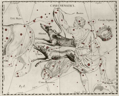 Souhvězdí Canes Venatici, Lovečtí psi. Talíř nakreslený z "" Firmamentum Sobiescanum sive Uranographia"" od Johannese Hevelia nebo Hevela (1611-1687) od Johannes Hevelius
