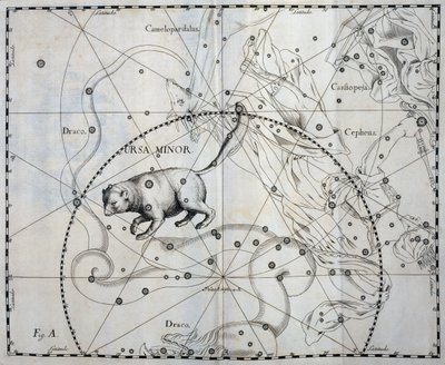 Ursa Minor, Boreaalinen Pienjärven tähdistö, kaiverrus taivaan atlassta Firmamentum Sobiescianum sive Uronographia, kirjoittanut Johann Hevelius (1611-1687), Gdansk od Johannes Hevelius