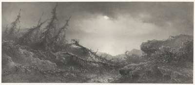Z de Storm od Johannes Hilverdink