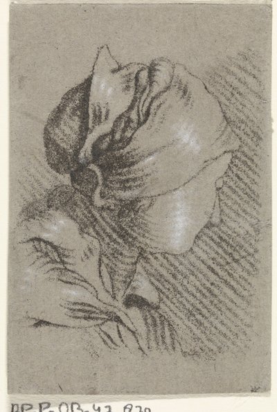 ženské poprsí od Johannes Janson (possibly)