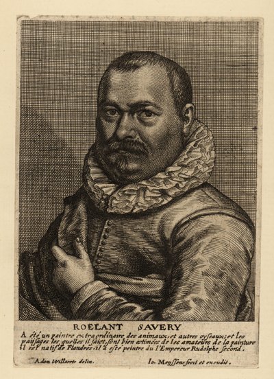 Portrét Roelanta Saveryho, holandského malíře zlatého věku narozeného ve Flandrech od Johannes Meyssens