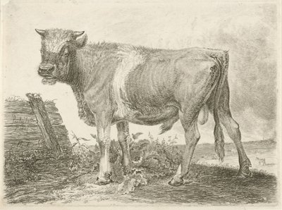 Stezky od Johannes Mock