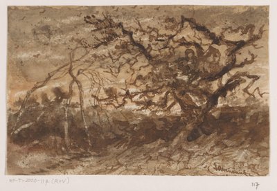 Strom při západu slunce od Johannes Tavenraat (signed by artist)