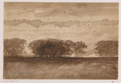 Rookery v Severním Brabantsku od Johannes Tavenraat (signed by artist)