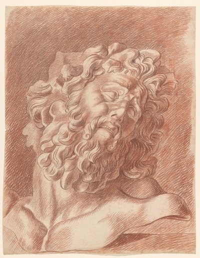 Akademická studie o sádře Laocoön: studie hlavy od Johannes Tavenraat