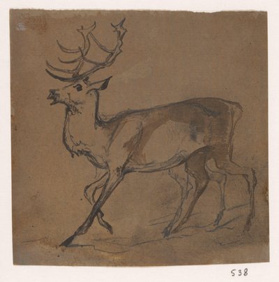 Hert od Johannes Tavenraat