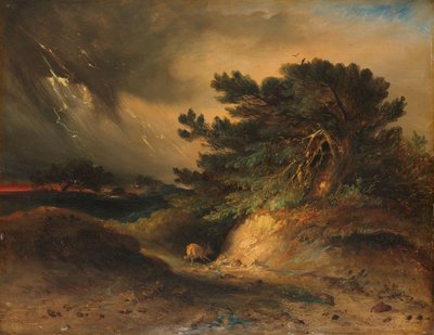 Bouřka Bouřka od Johannes Tavenraat