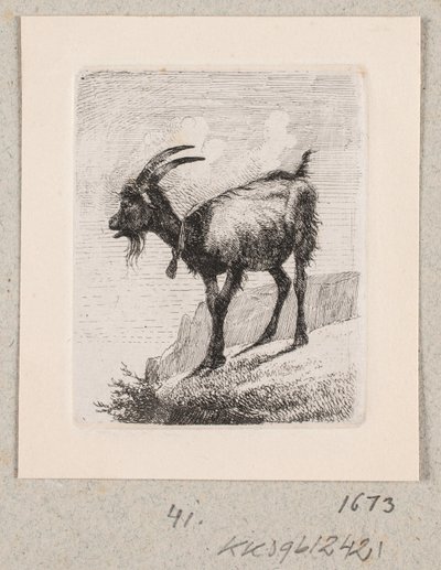 Koza se zvonkem od Johannes Wilhelm Zillen