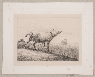 Bečící ovce od Johannes Wilhelm Zillen
