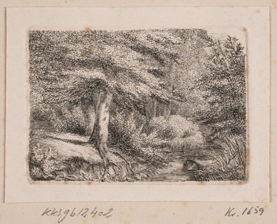 Lesní pozemek od Johannes Wilhelm Zillen