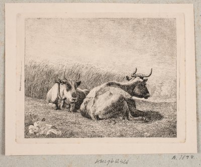 Dvě odpočívající krávy od Johannes Wilhelm Zillen