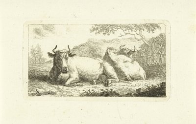 Dvě ležící krávy od Johannes van Cuylenburgh