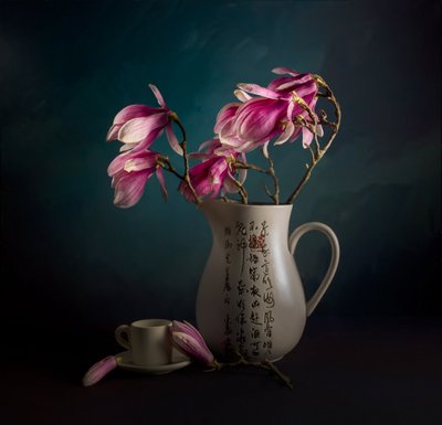 Elegantní zátiší s magnólií od John-Mei Zhong