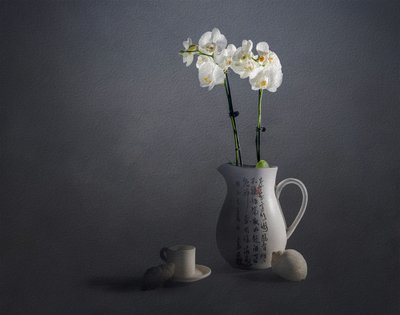 Elegantní zátiší s orchidejemi od John-Mei Zhong