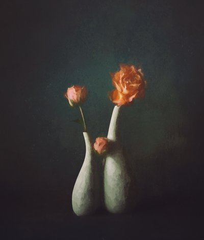 Vázy Moody Rose od John-Mei Zhong