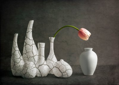 Vázy s motivem růžových tulipánů s prasklinami od John-Mei Zhong