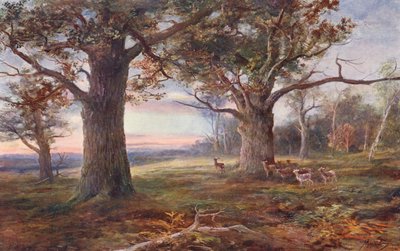 Na okraji Sherwoodského lesa (barevná litografie) od John (after) MacWhirter