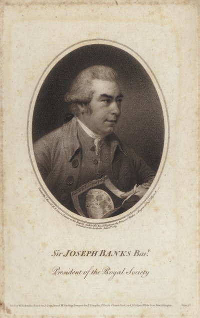 Sir Joseph Banks , anglický přírodovědec, botanik a prezident Royal Society (rytina) od John (after) Russell