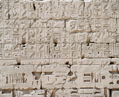 Egypt, Guvernorát Luxor, Karnak, Velký Amonův chrám, Velká sloupová síň, Detail vnější zdi od Walter Charles Mills