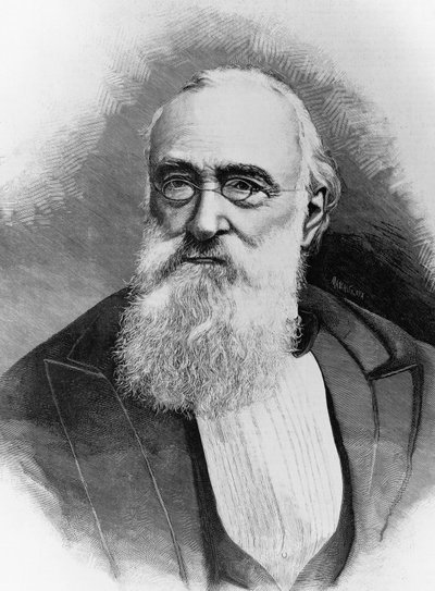 Portrét Agostina Depretise (1813-1887), italského státníka a předsedy vlády Italského království, rytina po fotografii od Michele Schemboche (aktivní 1856-cca 1906) od Walter Charles Mills