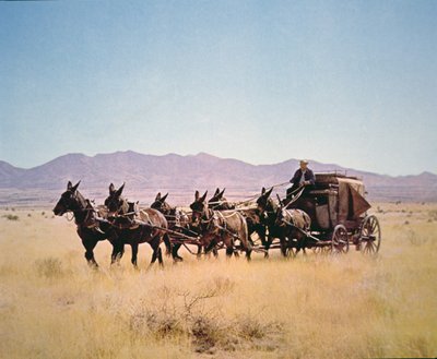 Western Stagecoach tažený týmem šesti mul (foto) od Walter Charles Mills