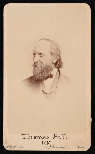 Portrét Thomase Hilla 1818-1891, 1867. od John Adams Whipple
